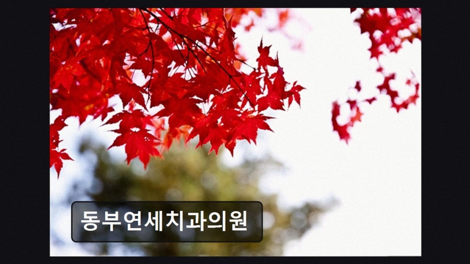 동부연세치과의원 사진 5