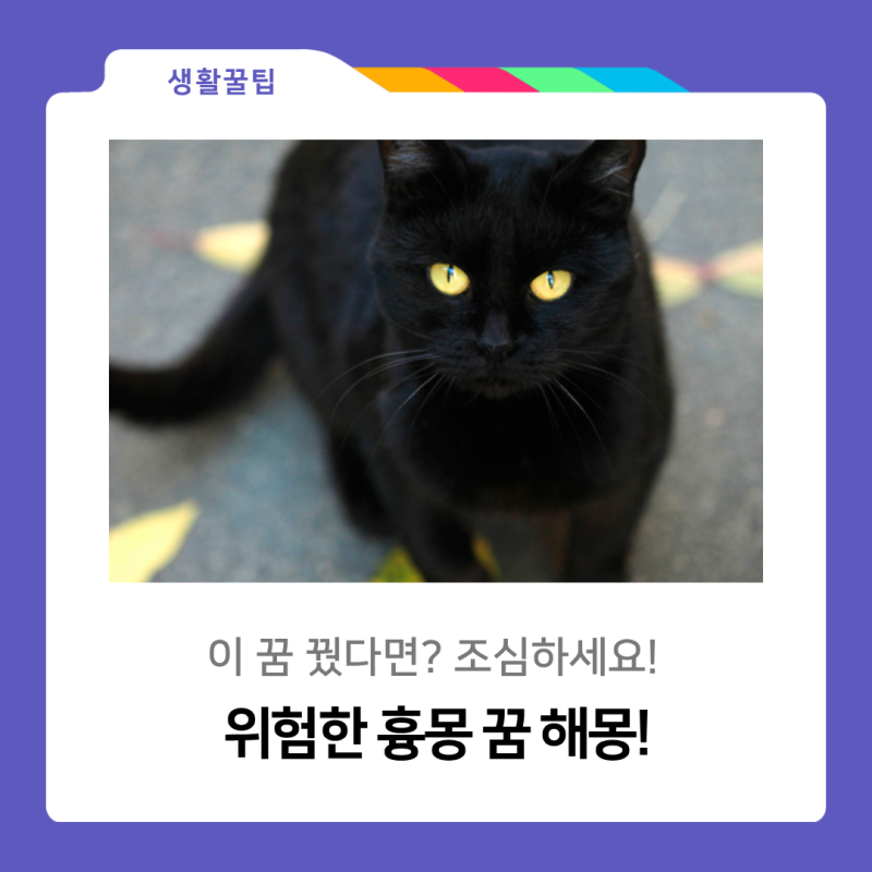 이 꿈꾸면 위험해요! 흉몽 꿈 해몽! (by. 영남이공대)