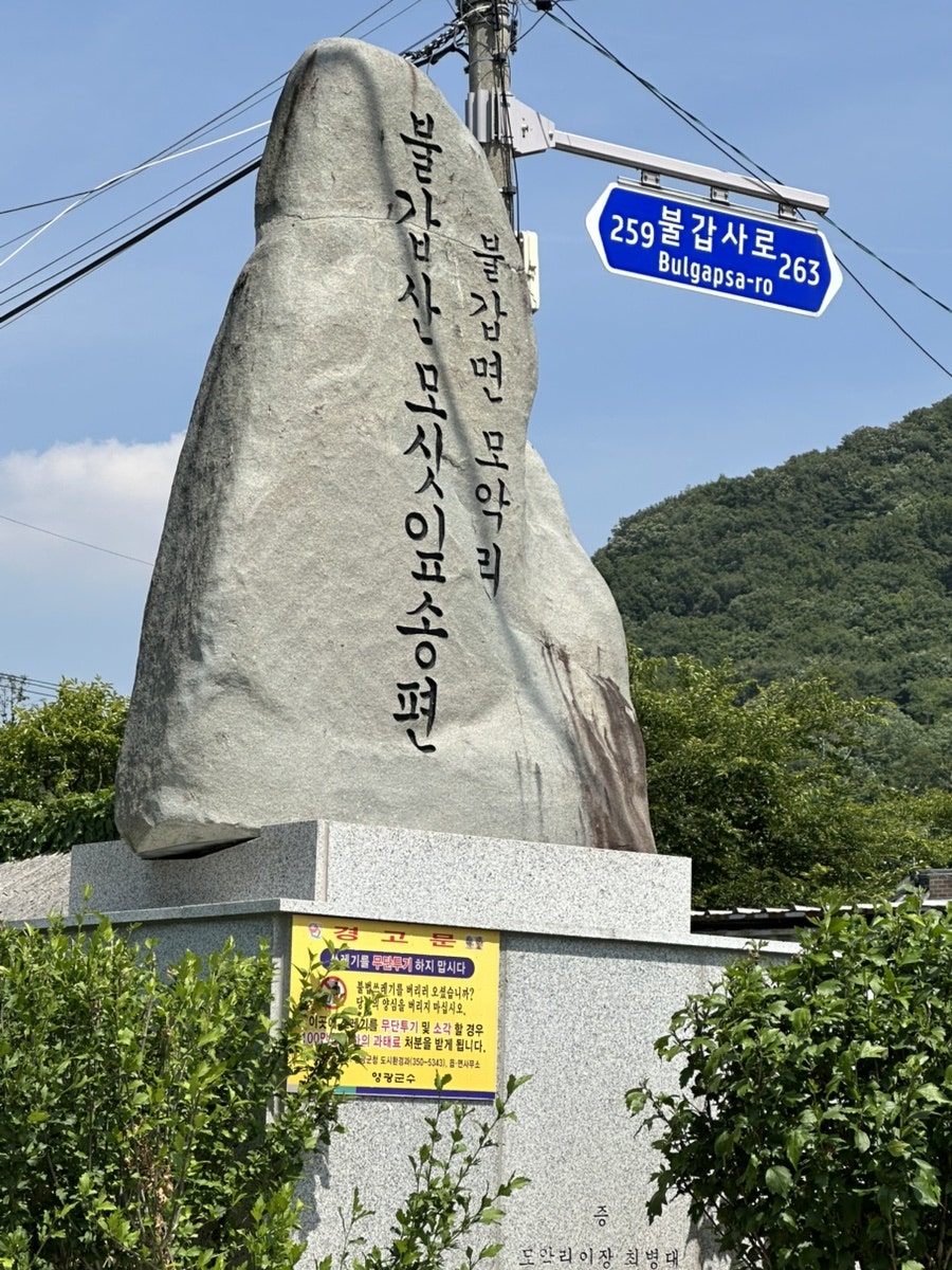 불갑산모싯잎송편 사진 4