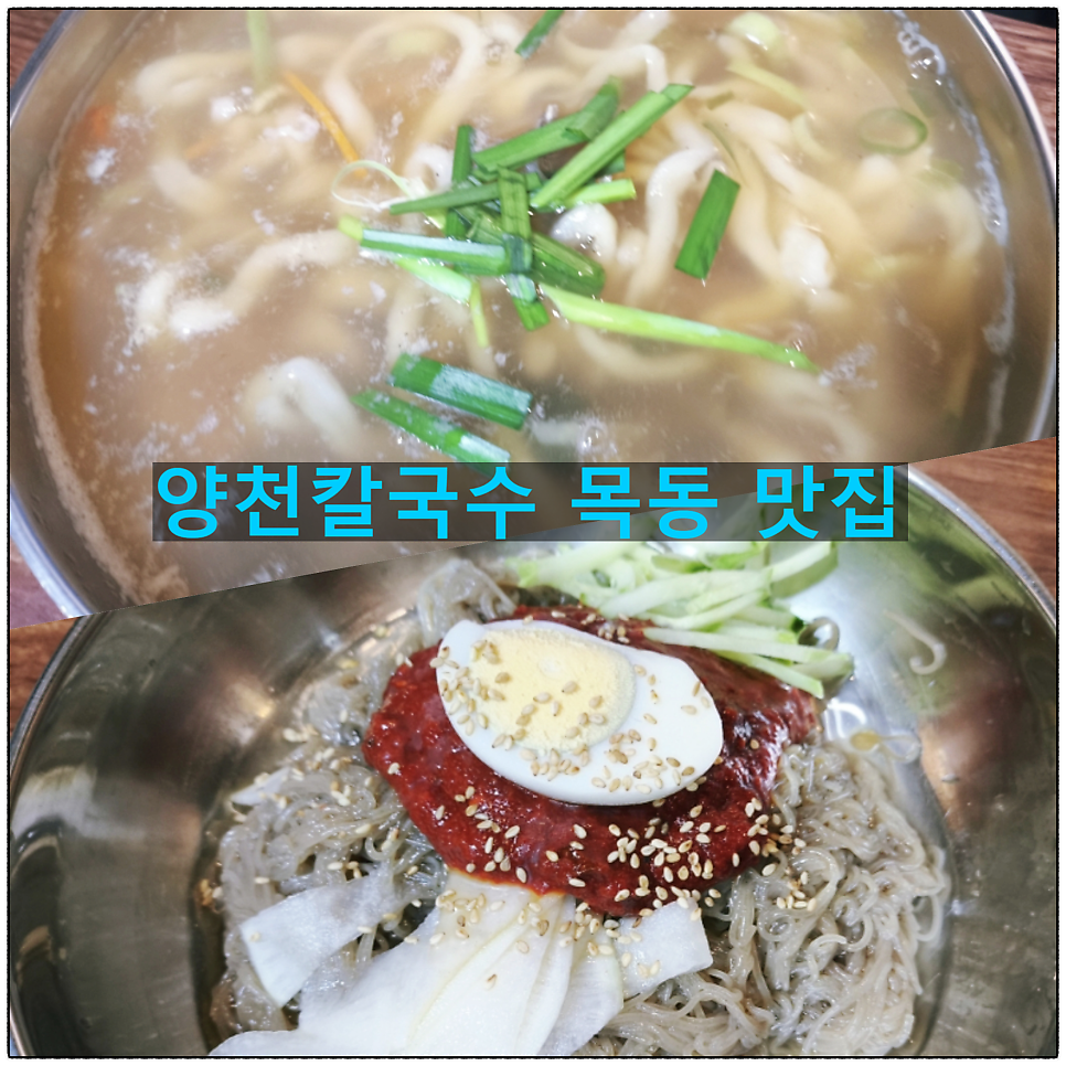 양천칼국수 사진 2