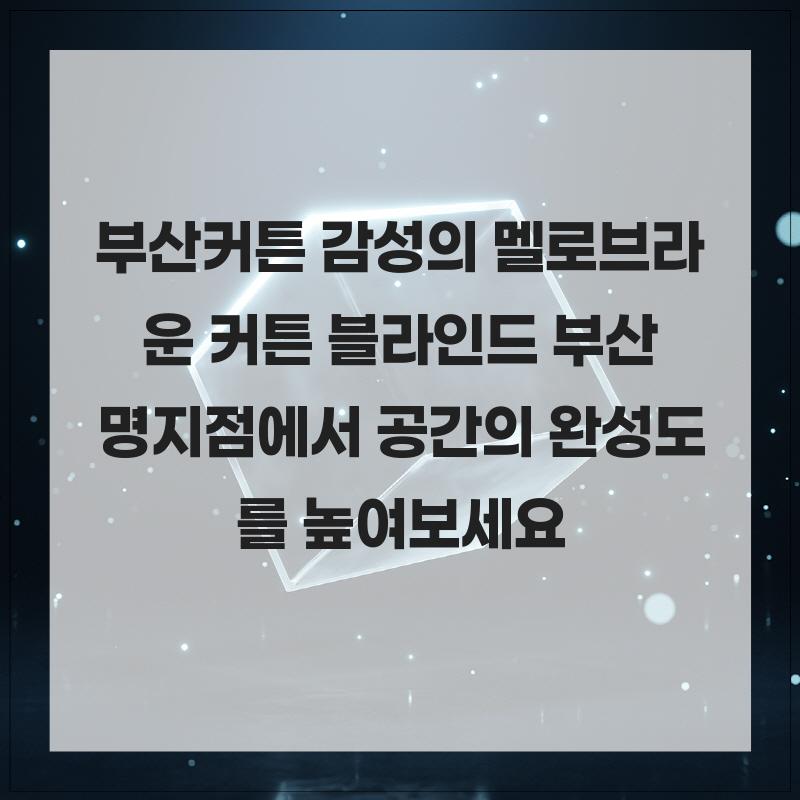 라운 사진 1