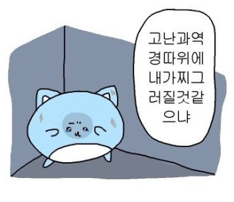 노이이탈리안하우스 사진 1
