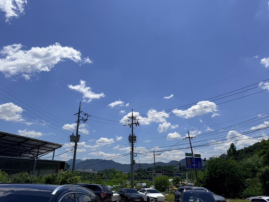 참샘송어직판장 사진 4