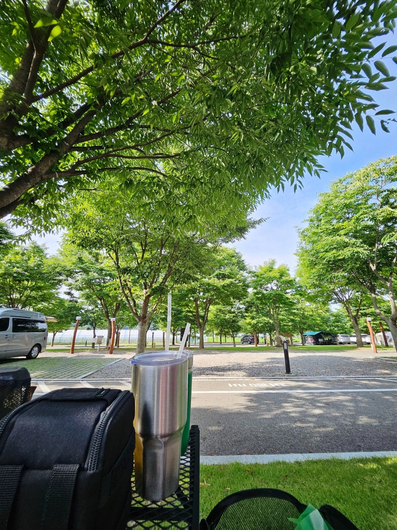 연천재인폭포 오토캠핑장 카라반 가격 명당 예약 팁 2박3일 다자녀(2인 이상) 할인 후기
