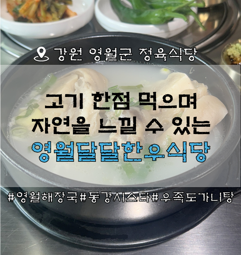 영월달달한우식당 사진 3