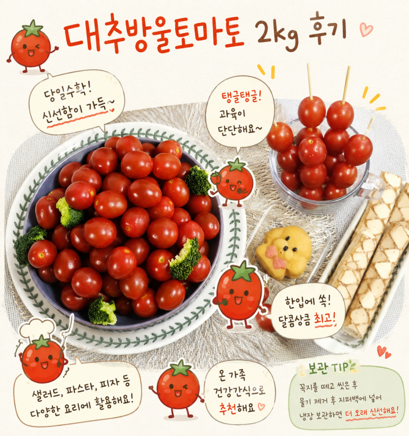 대추방울토마토 추천! 대과 2kg 당일수확이라 더 싱싱했던 솔직후기