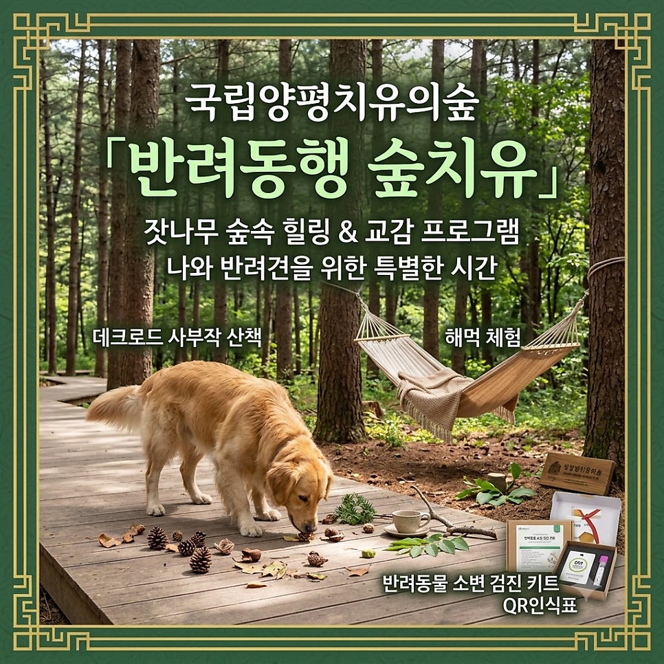 국립양평치유의숲 사진 2
