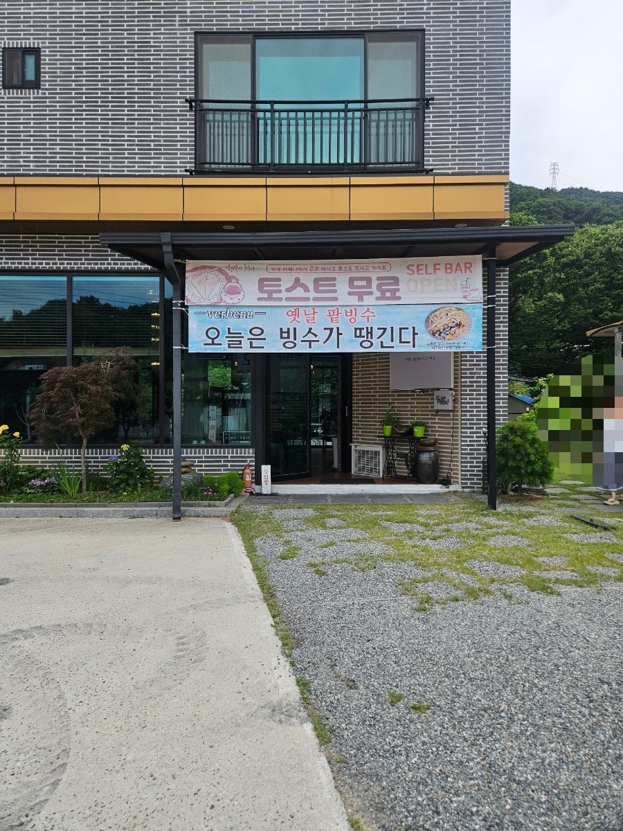 버베나 사진 3