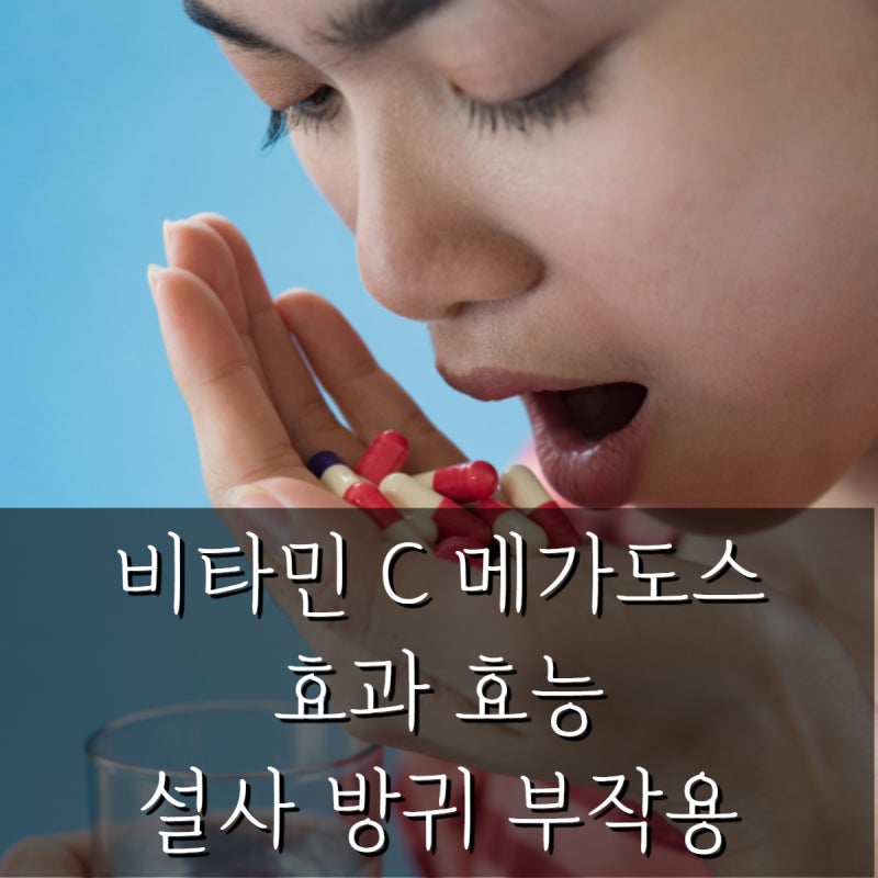 비타민 C 메가도스 효과 효능 설사 방귀 부작용