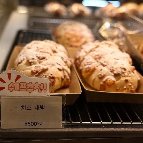 로마니나 사진 6