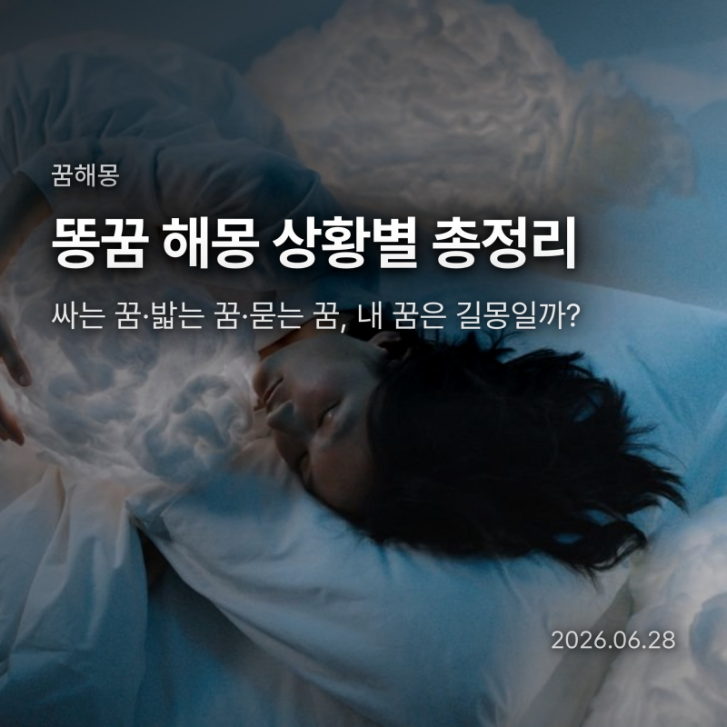똥꿈 해몽 상황별 총정리, 싸는 꿈·밟는 꿈·묻는 꿈 내 꿈은 길몽일까
