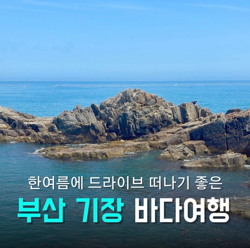 부산 기장 바다 감성 드라이브 코스 추천 | 오시리아 해안산책로, 해광사(용왕당), 공극샌드....