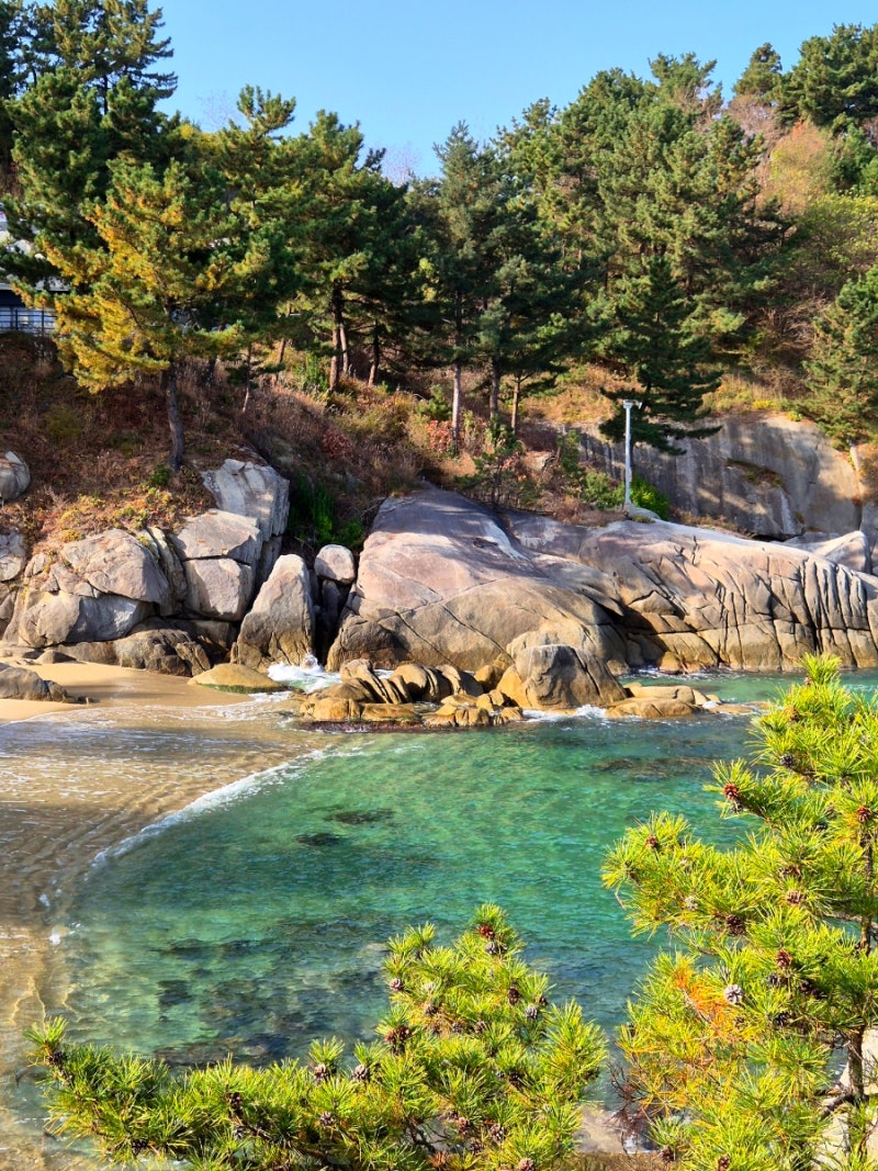 [강원도 양양 여행/양양 가볼만한곳] 휴휴암, 아이랑 함께 가기 좋은 곳(물고기, 새..)