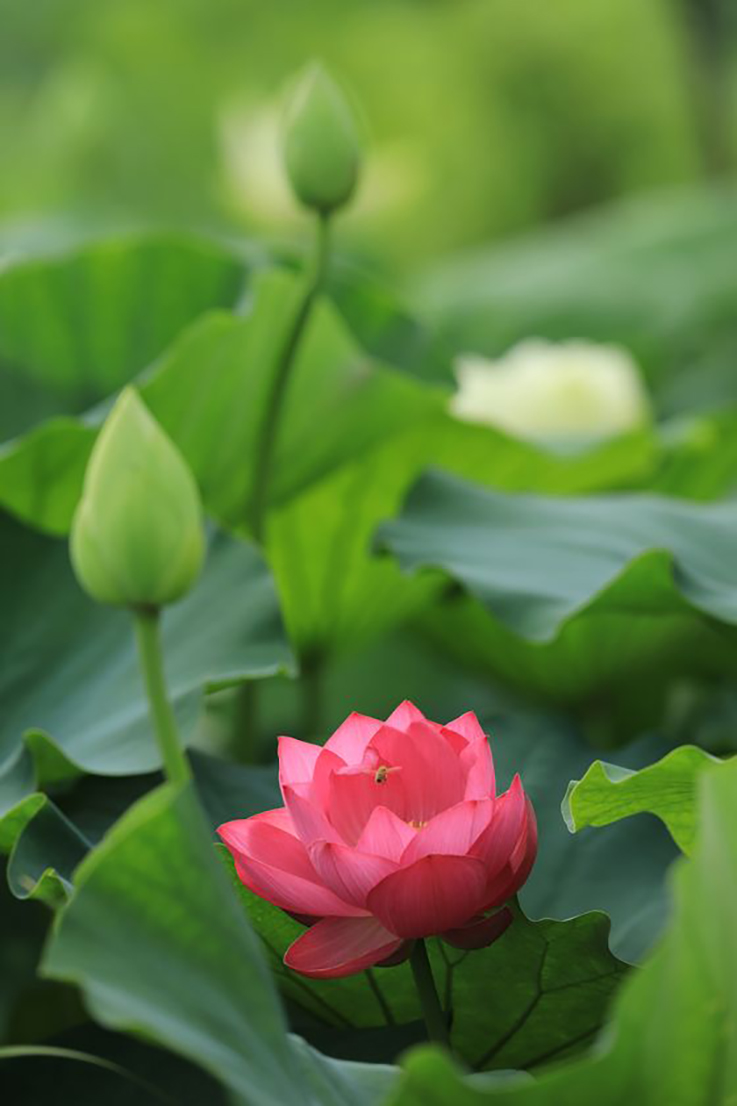 슬로가든 사진 2
