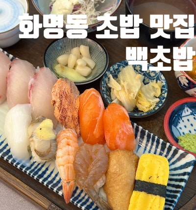 화명동초밥 백초밥 시그니처 세트 활어초밥 솔직후기