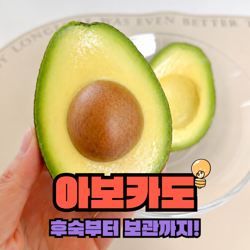 아보카도 후숙 빨리 하는 법, 보관법까지 한 번에