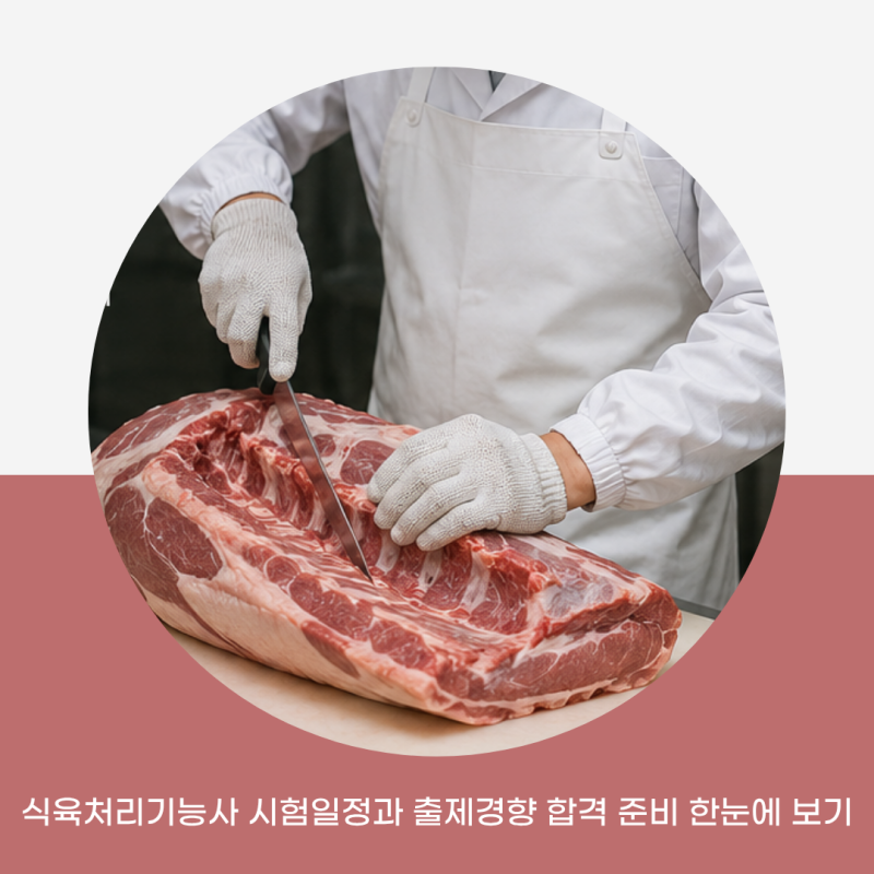 식육처리기능사 시험일정과 출제경향 합격 준비 한눈에 보기