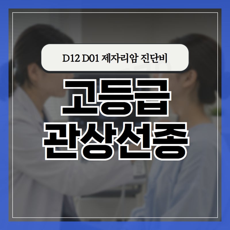 고등급 관상선종 D12 D01 제자리암 진단비 보험금 진단서 코드만 보고 포기하면 안 됩니다