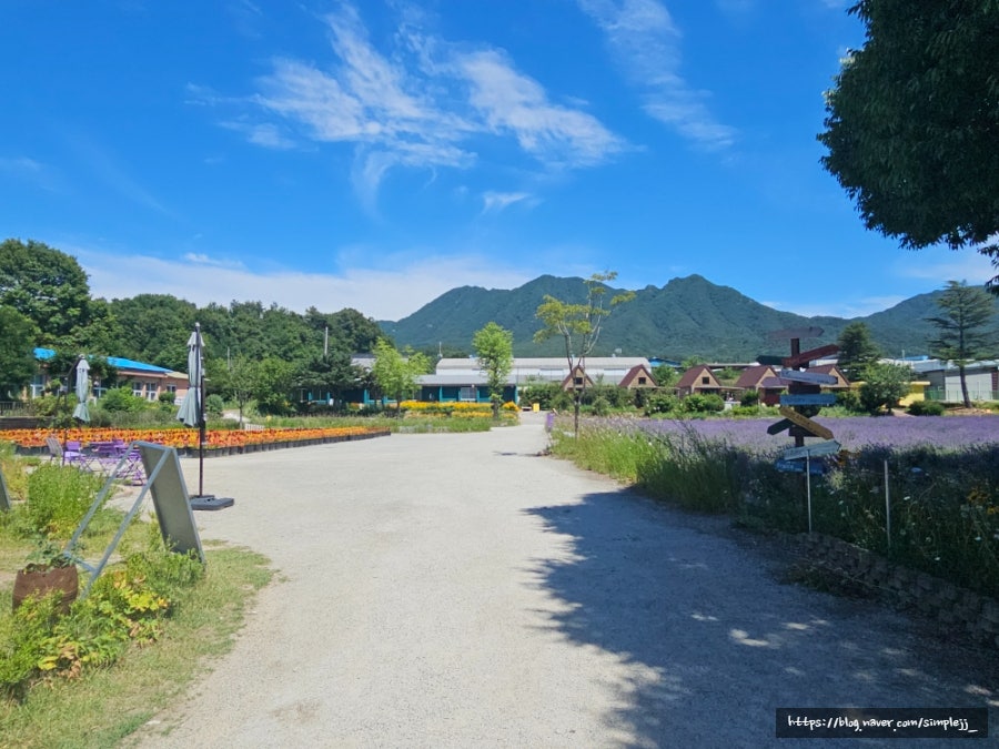 Geochangheobeubilriji photo 3
