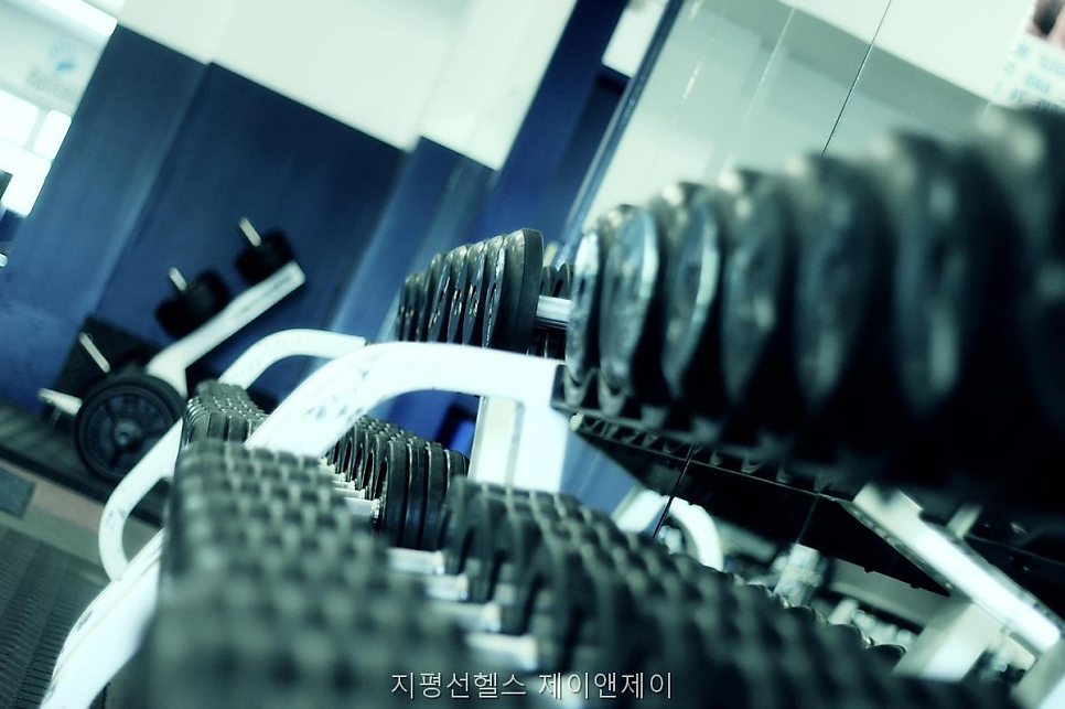 지평선헬스 사진 2