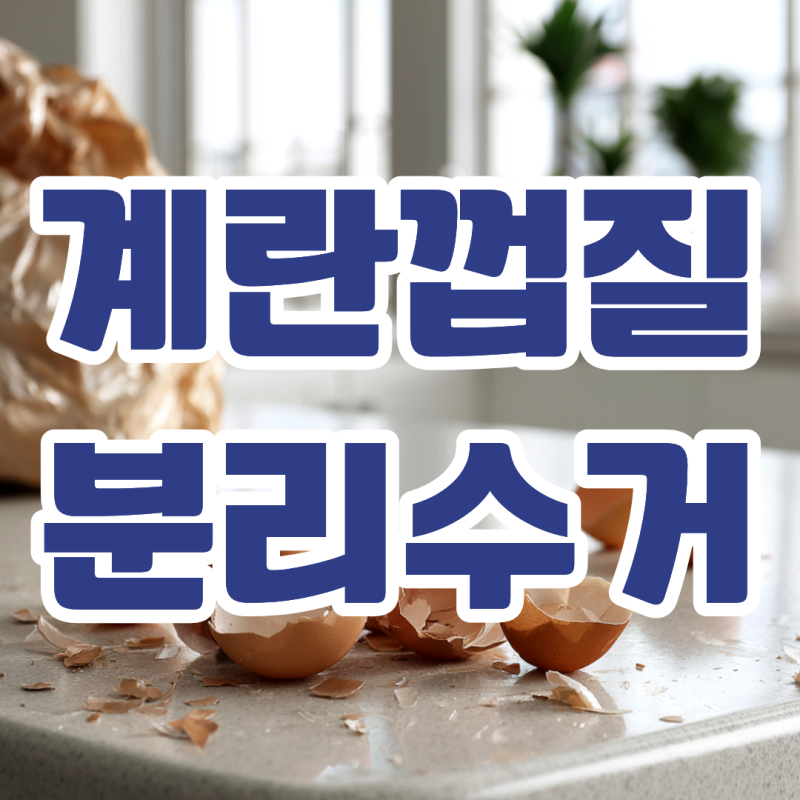 계란껍질 분리수거 방법 음식물 통에 넣기 전 확인하세요