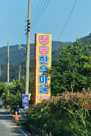 한우마을 사진 5