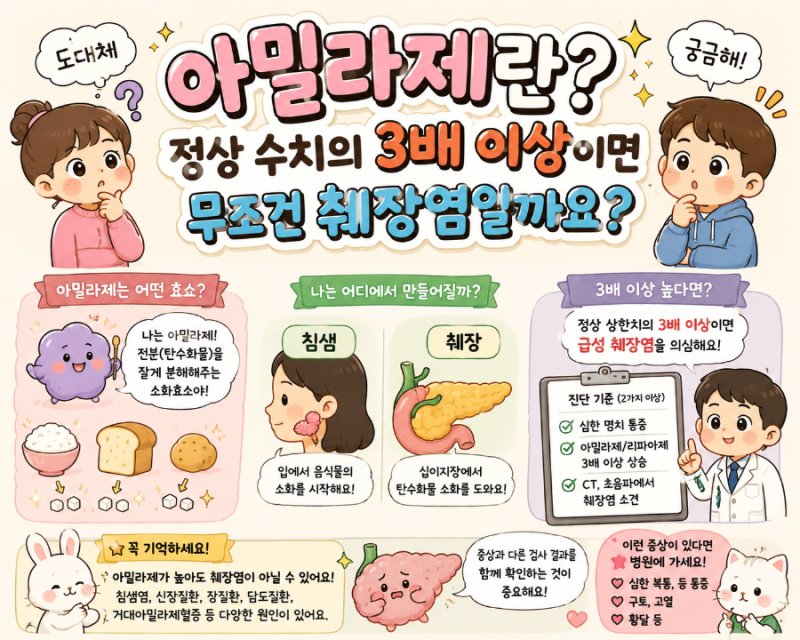 아밀라제란? 정상의 3배 이상 높으면 무조건 췌장염일까요?