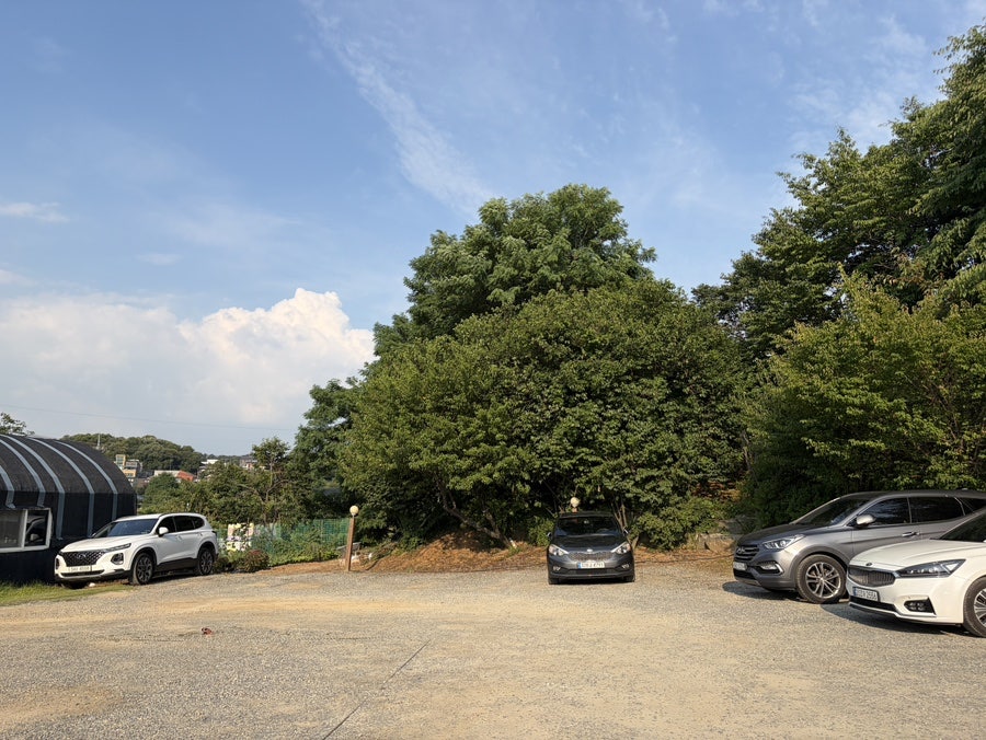 오대산산채낙지쭈꾸미전문점 사진 1