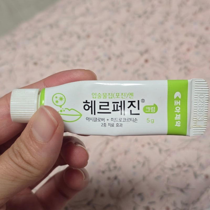 입술 수포 원인과 실제 회복 과정 헤르페스 약 후기
