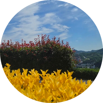 바람의 화원 사진 3