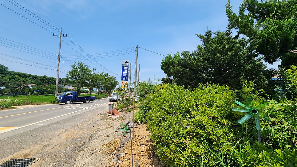 황새둥지식당 사진 1