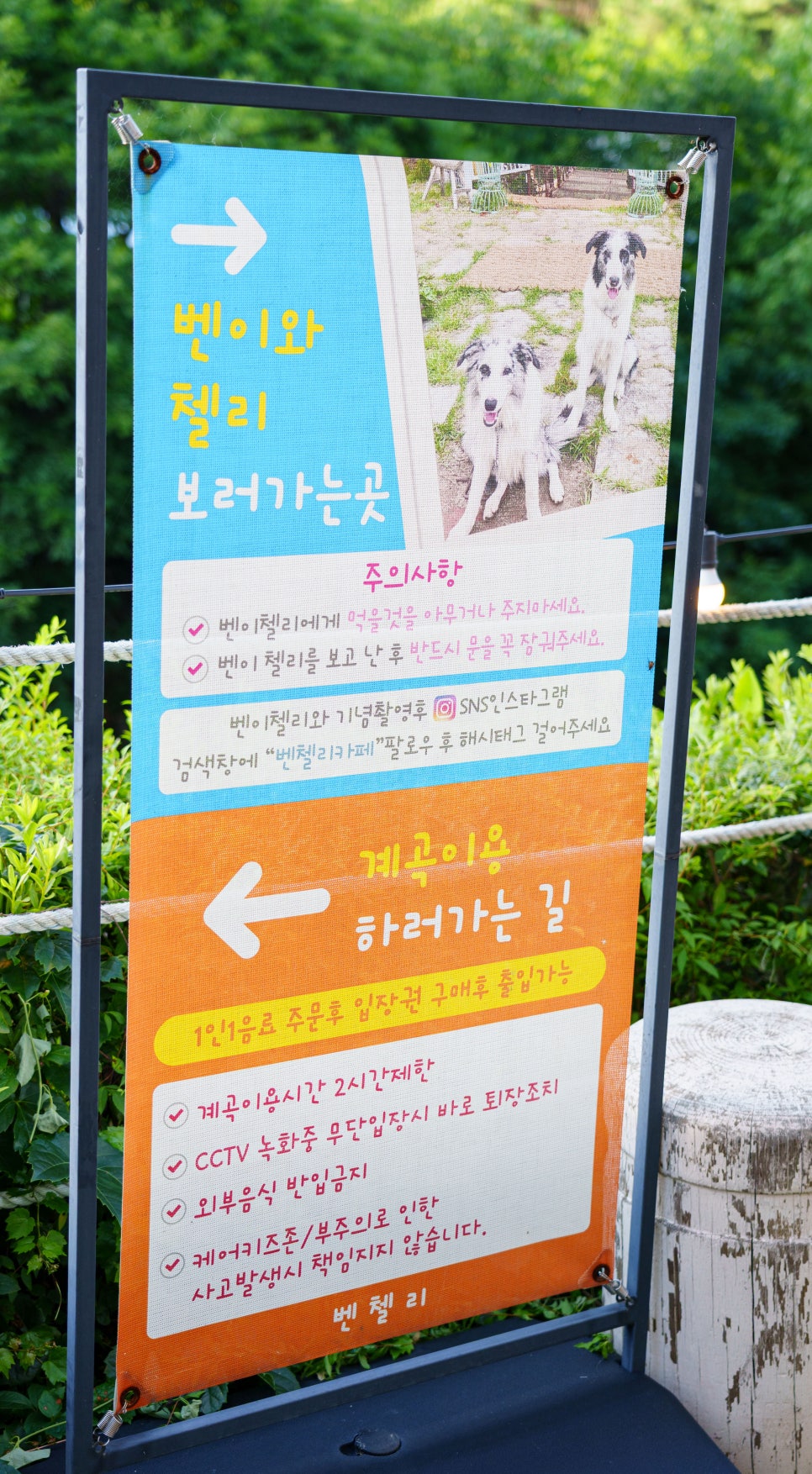 벤첼리 사진 5