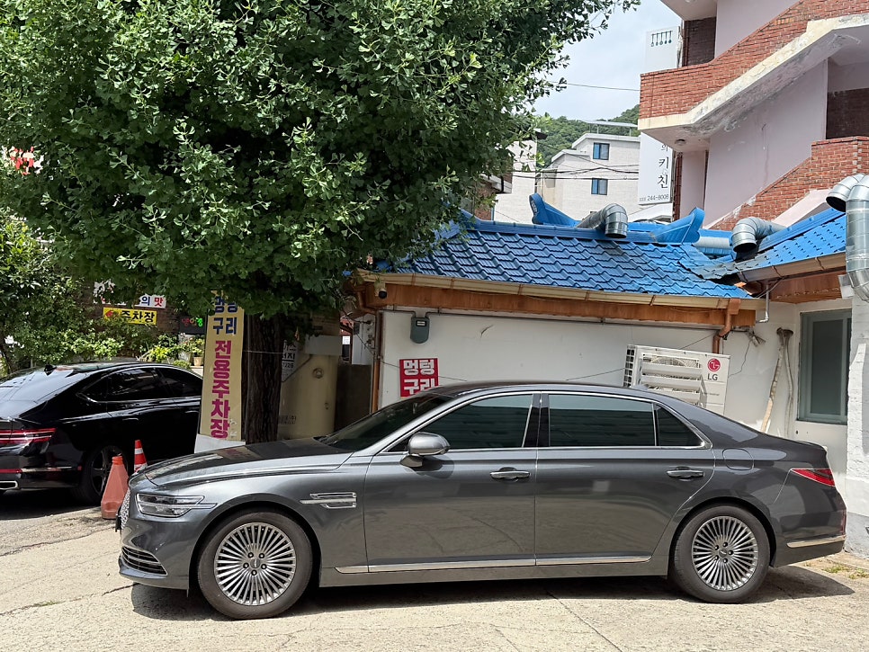 멍텅구리 사진 4