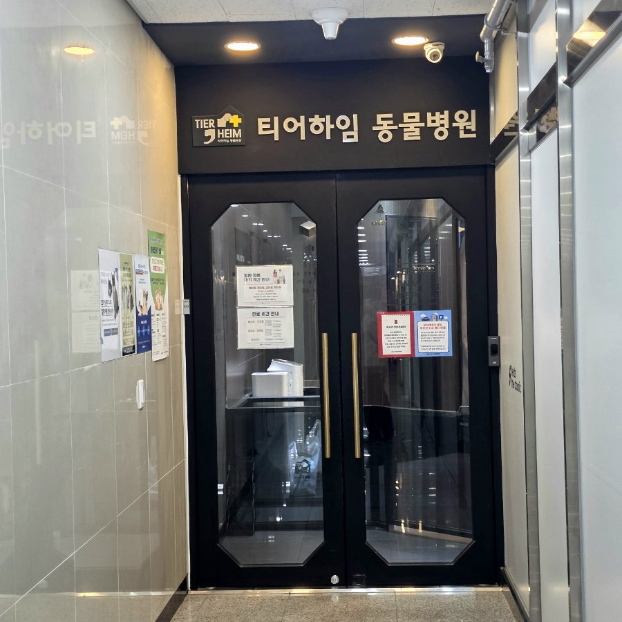 티어하임동물병원 사진 5
