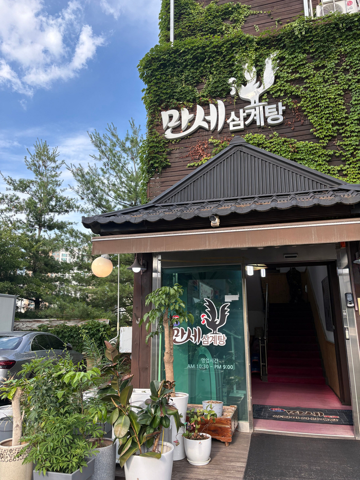 대한민국만세삼계탕 본점 사진 3