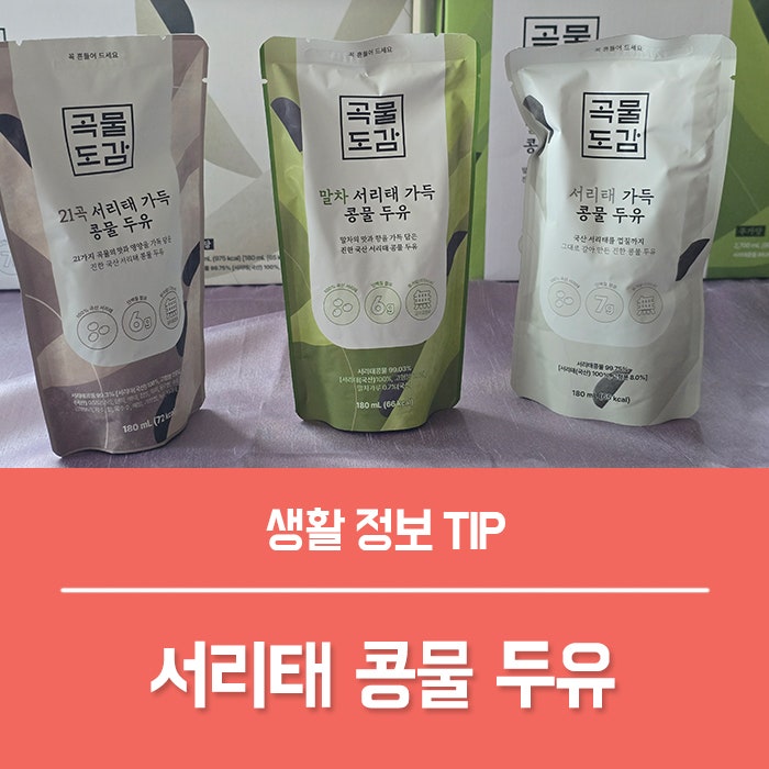 서리태 콩물 두유 효능, 임산부간식으로 괜찮을까?