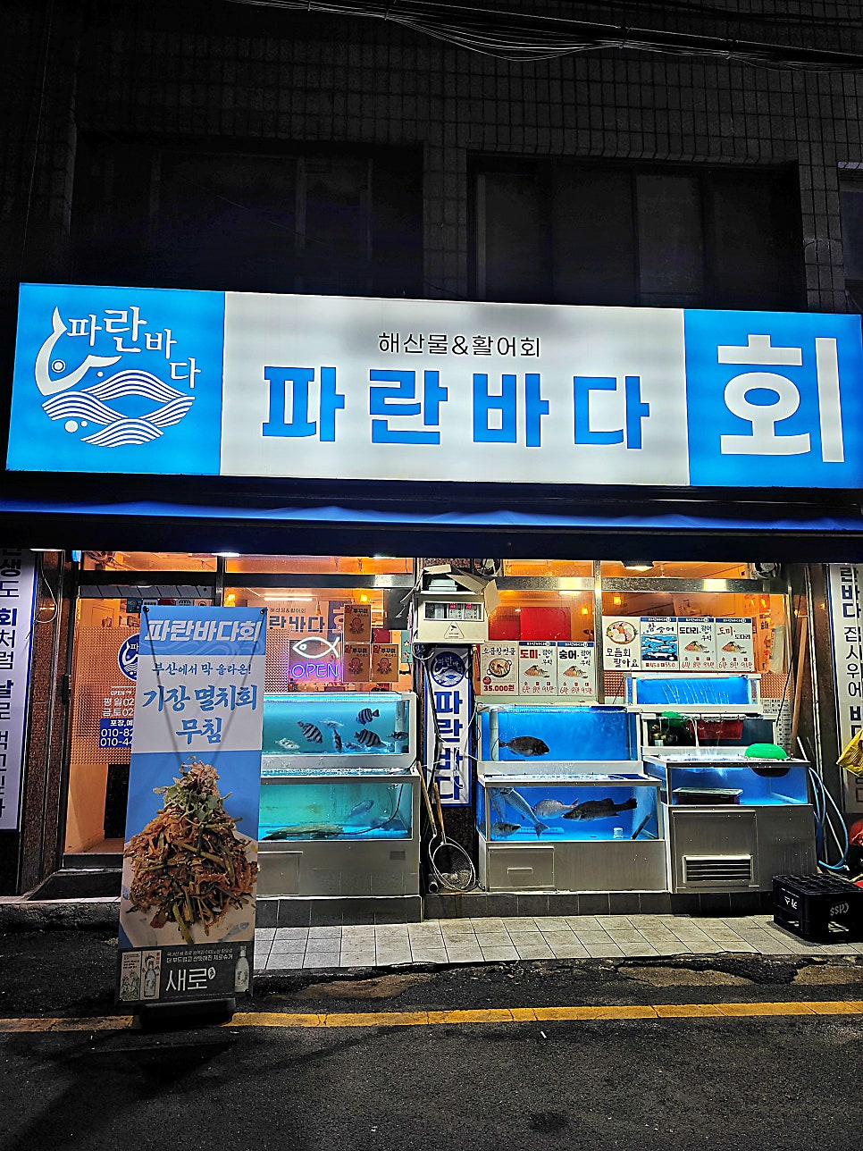 파란바다회 사진 2