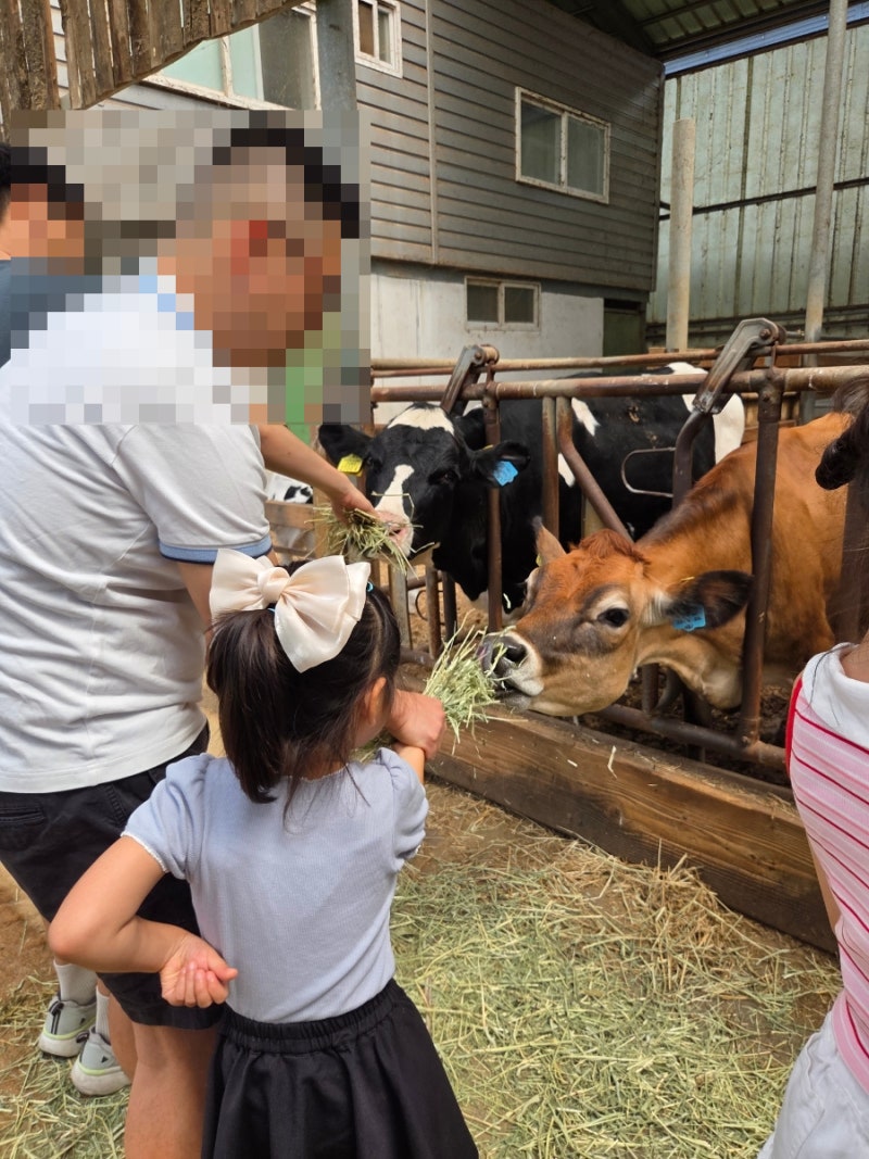 [김포시] 김포 농촌관광 투어패스(1)｜꿈목장, 루나의뜰