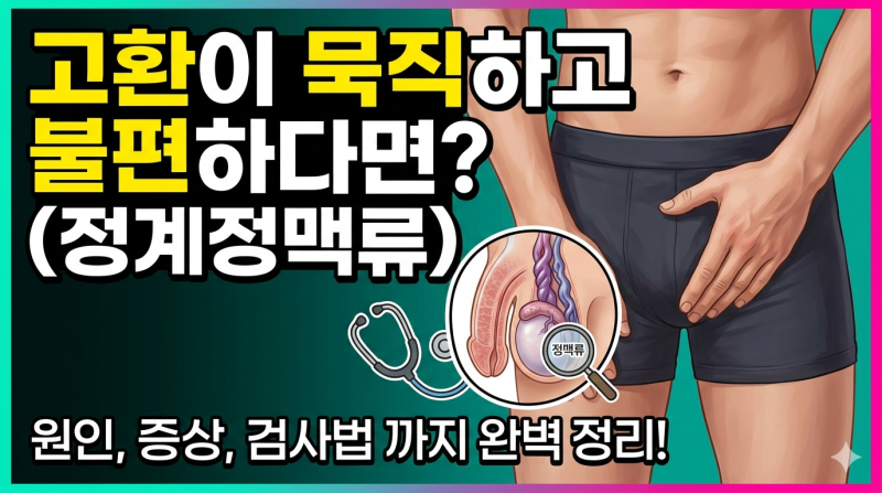 [비뇨의학과 질환 정보]"서 있으면 고환이 묵직..." 정계정맥류 증상부터 눈으로 보이는 단계,....