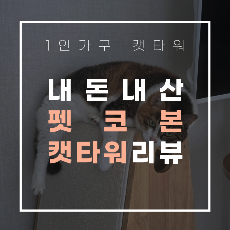 [1인 가구 캣타워] 이사 후 반려묘 스트레스 줄이는 캣타워와 숨숨집 분산 배치 (펫코본 캣타....
