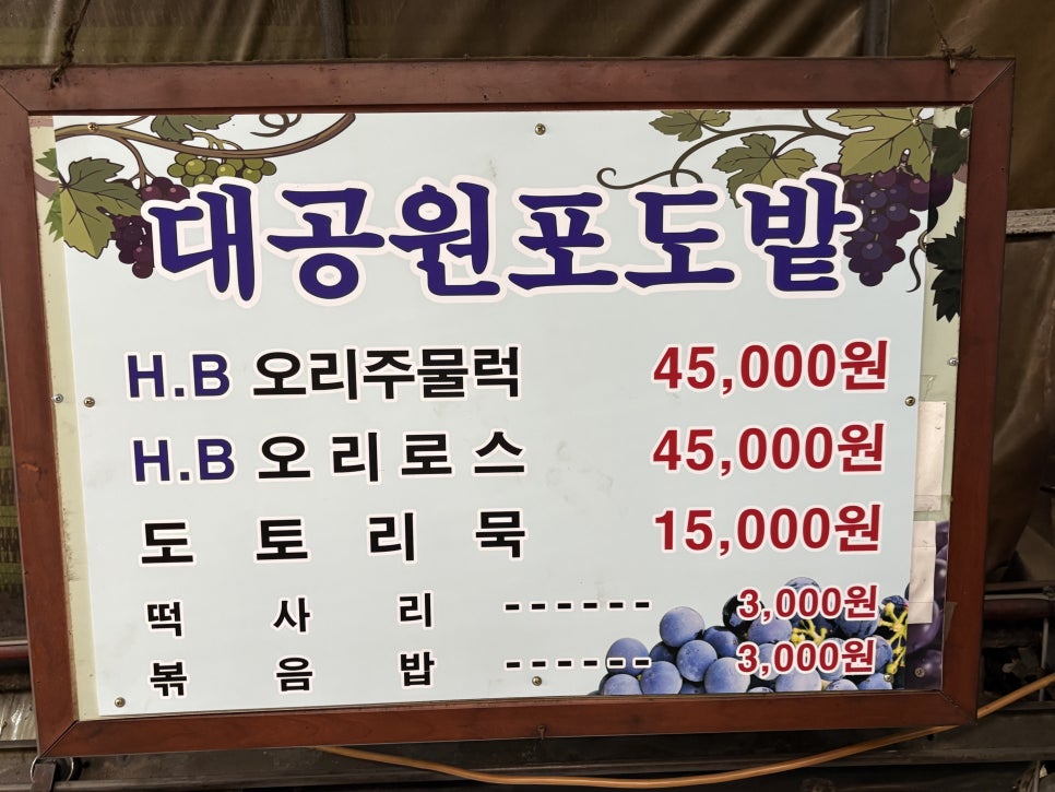 대공원포도밭 사진 6