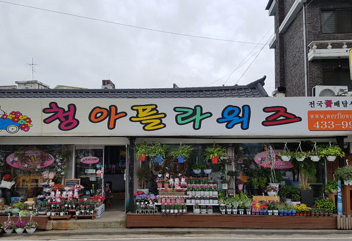 청아플라워즈 사진 2