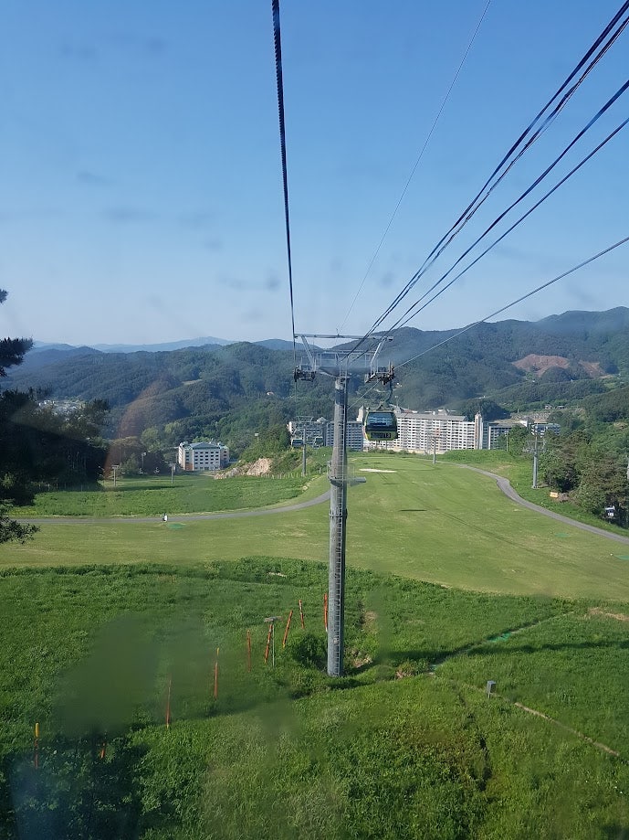 둔내막국수 사진 5