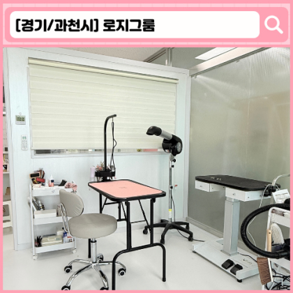로지그룸 과천 애견미용