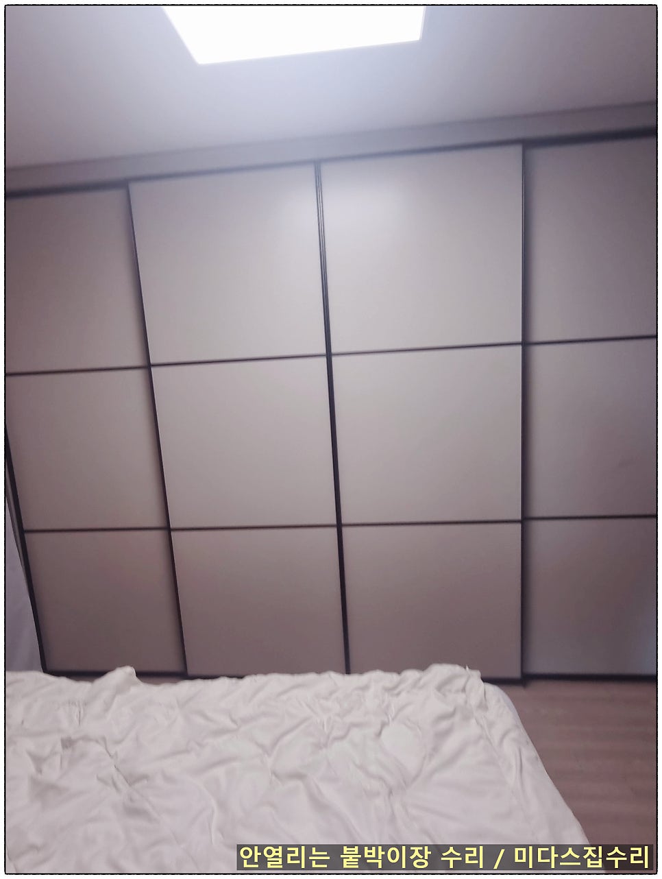 로라 사진 6