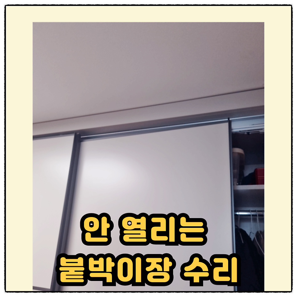 로라 사진 1