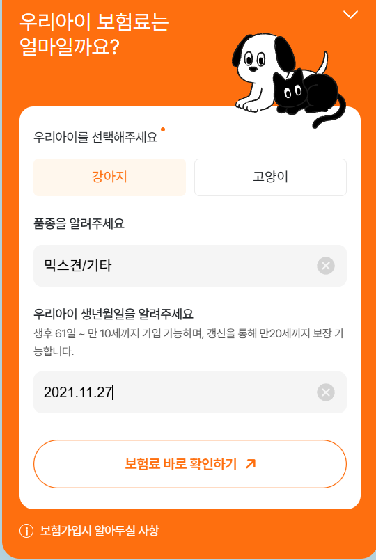 2만원대 강아지 보험, 마이브라운 펫보험 직접 알아본 솔직 후기
