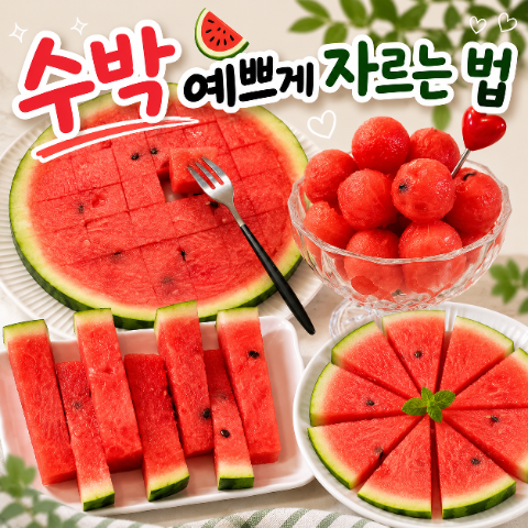 수박 예쁘게 자르는 법 먹기 편하고 보기 좋은 모양 꿀팁