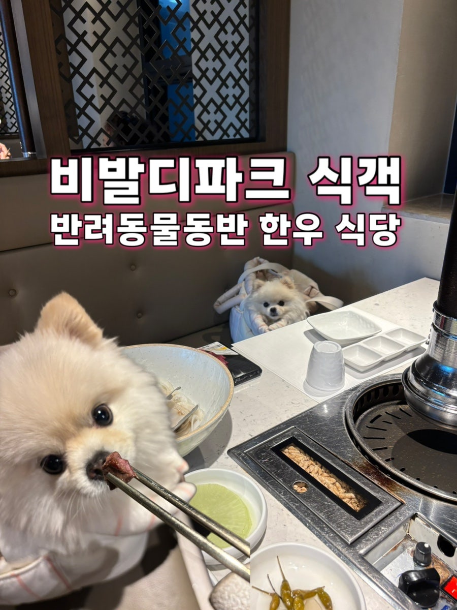 비발디파크 식객명품한우관 사진 1