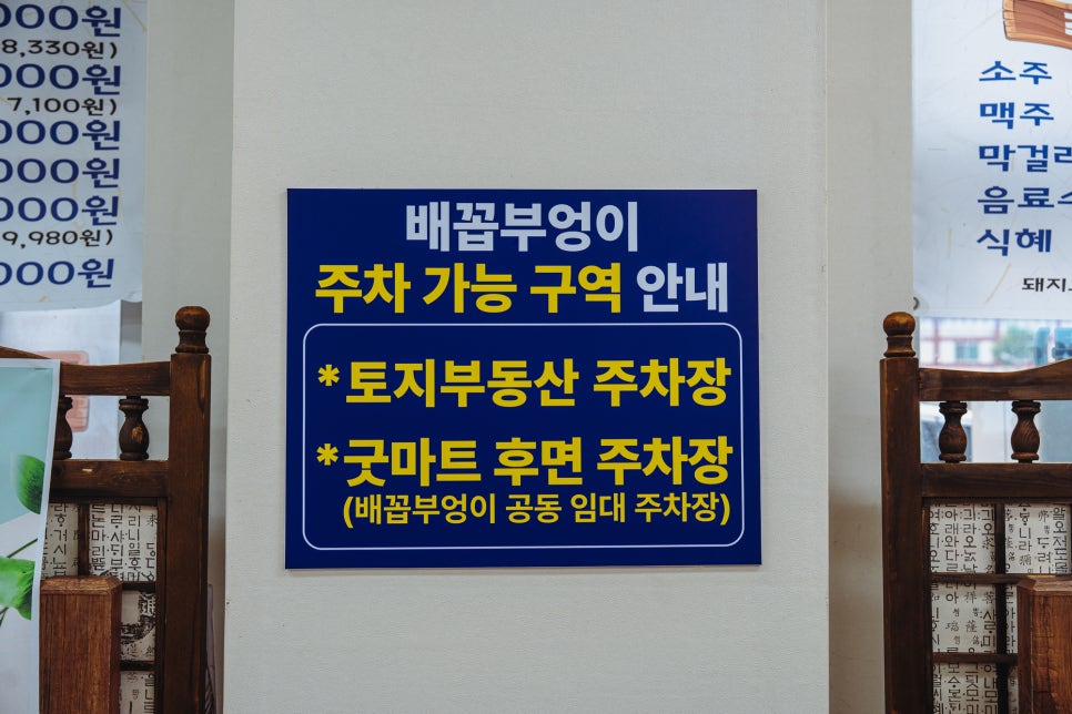 배꼽부엉이 사진 5